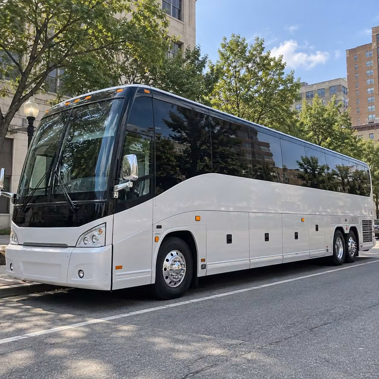 watson lake and prescott national forest field trips deserve the right bus